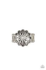 Load image into Gallery viewer, Stone Sensei - Silver
