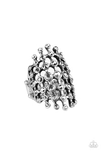 Fiercely Flashly - Silver